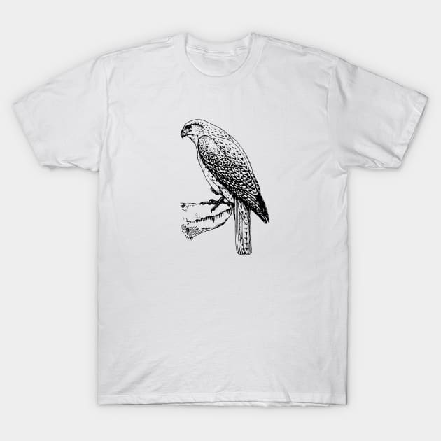 Falcon T-Shirt by linesdesigns